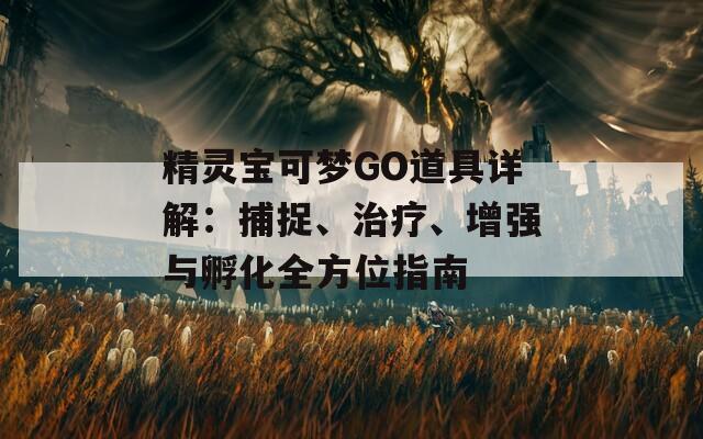 精灵宝可梦GO道具详解：捕捉、治疗、增强与孵化全方位指南