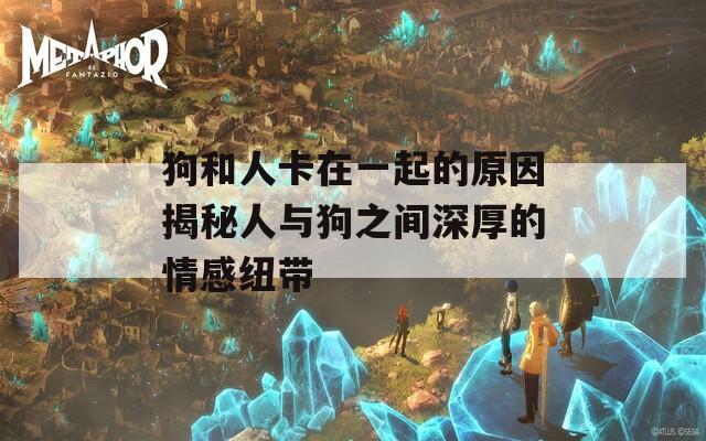 狗和人卡在一起的原因揭秘人与狗之间深厚的情感纽带